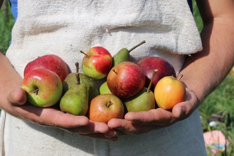 “POMO PERO” È ANCHE UNA RASSEGNA GASTRONOMICA