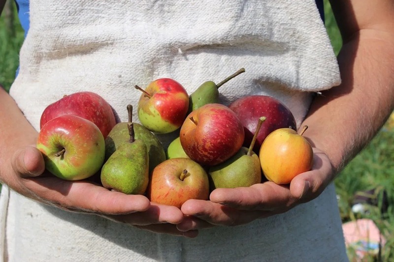 “POMO PERO” È ANCHE UNA RASSEGNA GASTRONOMICA